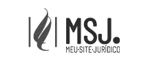 msj-site-wordpress.webp